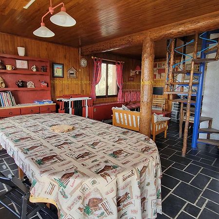 Chalet Spacieux 18 Pers. Avec Jardin, 7 Chambres, Cheminees, Animaux Admis - Saint-Michel-De-Chaillol - Fr-1-393-82 Kültér fotó